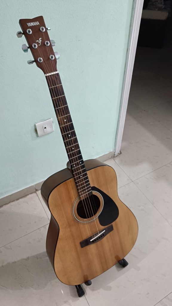 Acoustic Guitar